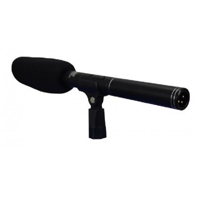 Microfono Zoom Con Doppia Capsula (Dmc 943)
